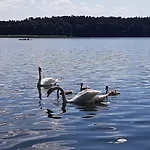 Casa de Férias Mazurska Niezapominajka Sajzy