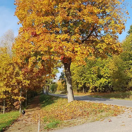 Сasa de vacaciones Mazurska Niezapominajka *