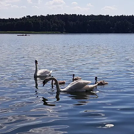 בית נופש Mazurska Niezapominajka Sajzy