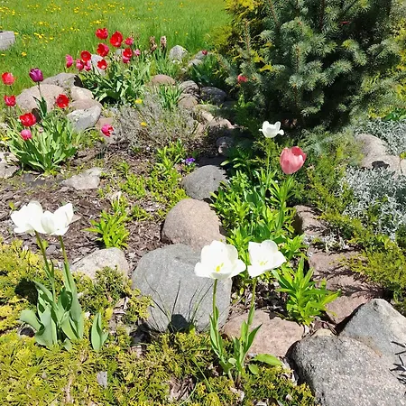 בית נופש Mazurska Niezapominajka *